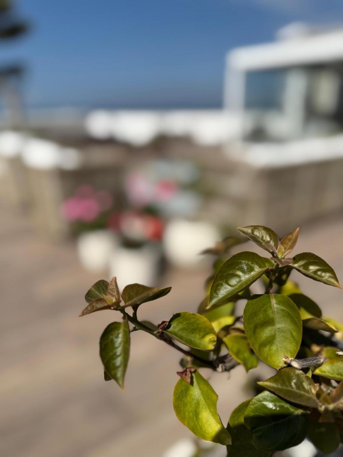 La Chiaja Art&Relais Bed & Breakfast Castellammare di Stabia Dış mekan fotoğraf